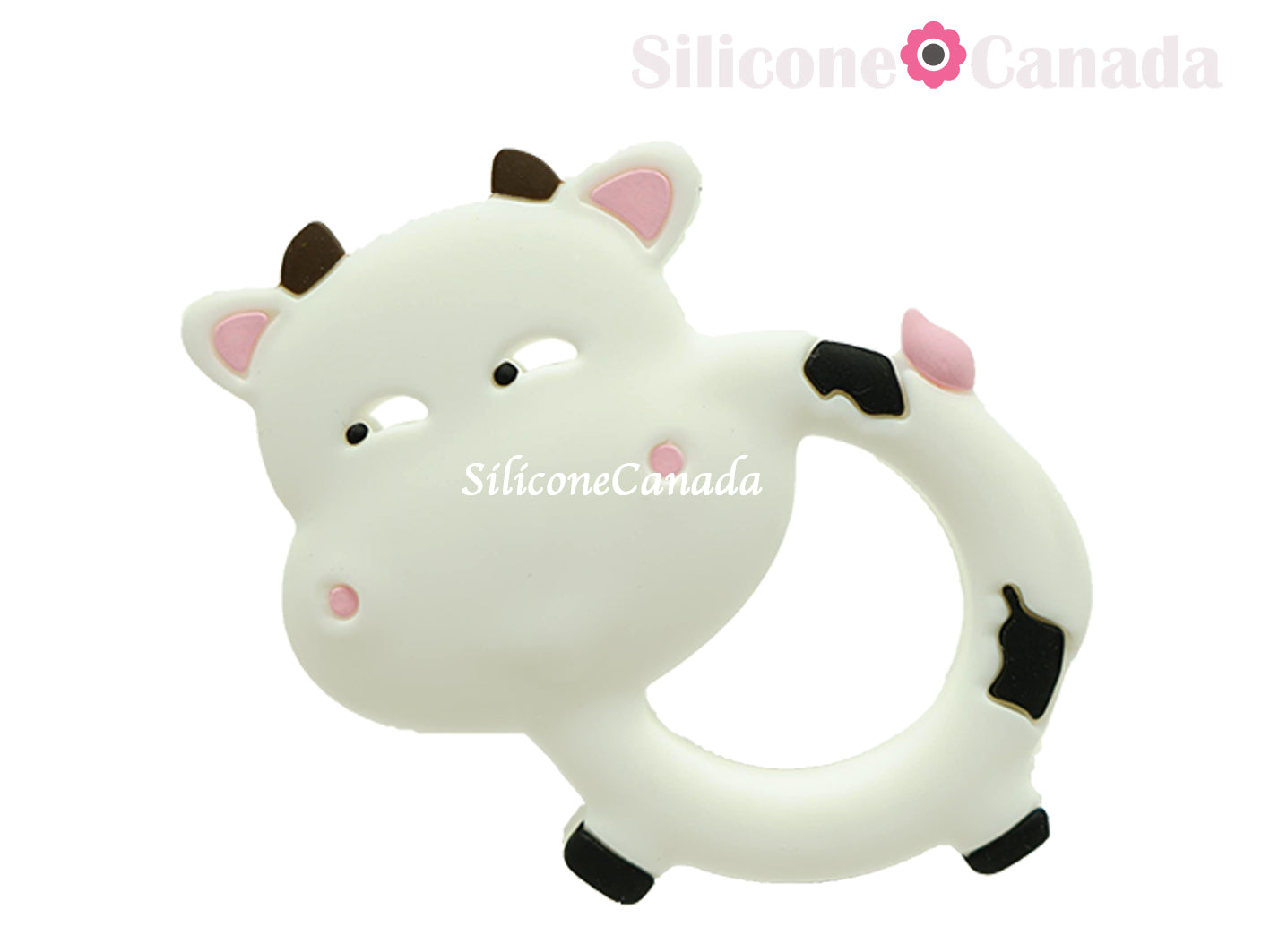 Cows